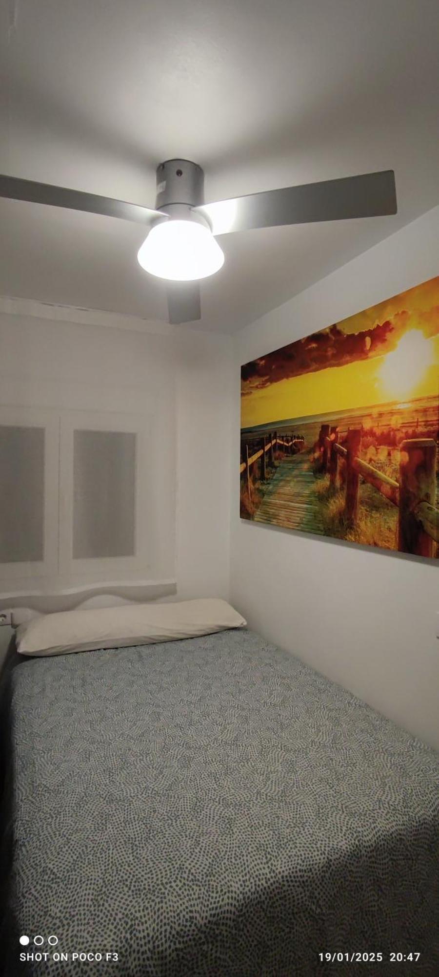 Calle Carril De La Fuente Apartamento Conil De La Frontera Eksteriør billede